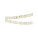 Светодиодная лента Arlight 032613 SMD 2835 320 диод/22 Вт/м 24 В IP20 5 м теплый белый свет