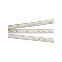 Светодиодная лента Arlight 021398 SMD 5060 60 диод/12 Вт/м 24 В IP67 5 м белый свет