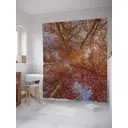 Шторка для ванной комнаты JoyArty sc_20675 200x180см цвет коричневый