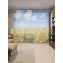 Тюль на шторной ленте Подсолнухи под небом 310х265 см рисунок растительный цвет желтый