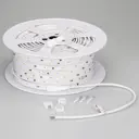 Светодиодная лента ARLIGHT 024043 72 диод/14 Вт/м 230 В IP65 500 м холодный белый свет
