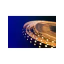 Светодиодная лента DESIGNLED DSG560-12-WW-33 60 диод/14.4 Вт/м 12 В IP33 5 м теплый белый свет