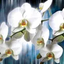 Фотообои For Wall Цветы 1668V8 368x254 см