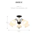 Люстра на штанге IMEX 5*60Вт E27 MD.4734-5-S BK 5 ламп цвет черный