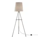 Торшер Maytoni Comfort MOD008FL-01N цвет серый