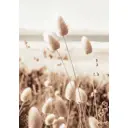 Картина на холсте Колоски 40x60 см