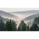 Фотообои флизелиновые Flizelini 2050 450x270 см Горы и лес в тумане 3