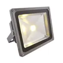 Прожектор светодиодный уличный ARTE LAMP A2530AL-1GY 30 Вт 3000 К IP65 цвет хром