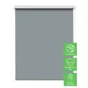 Рулонная штора Mrolls Blackouts 50x175см цвет серый / серебристый