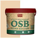Краска акриловая огнебиозащитная HOLZER ELASTISCH OSB feuerbiostop029 3 л цвет серый/бежевый