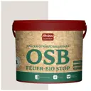 Краска акриловая огнебиозащитная HOLZER ELASTISCH OSB feuerbiostop091 3 л цвет серое небо