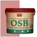 Краска акриловая огнебиозащитная HOLZER ELASTISCH 13OSB feuerbiostop056 13 л цвет розовый