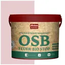 Краска акриловая огнебиозащитная HOLZER ELASTISCH 13OSB feuerbiostop069 13 л цвет светло-розовый