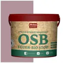 Краска акриловая огнебиозащитная HOLZER ELASTISCH 13OSB feuerbiostop079 13 л цвет светло-розовый