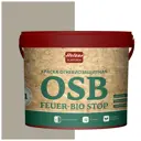 Краска акриловая огнебиозащитная HOLZER ELASTISCH 13OSB feuerbiostop151 13 л цвет серый