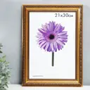 Рамка Simaland 7796993, 21x30 см, пластик, цвет золотистый