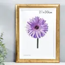 Рамка Simaland 7797272, 21x30 см, пластик, цвет золотистый