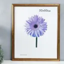 Рамка Simaland 7797033, 50x60 см, пластик, цвет золотистый