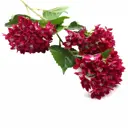 Искусственное растение Гортензии Astra&Craft HY125-36020 70см F Бордовые