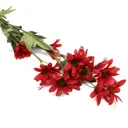 Искусственное растение Маргаритки Astra&Craft HY126-12002 65см A Бордо