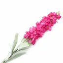 Искусственное растение Люпины Astra&Craft XY118-63004 78см B Винный