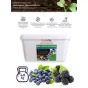 Комплексное удобрение Flovital для голубики и ежевики 9-5-12 4.8 кг