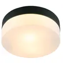 Светильник настенно-потолочный ARTE LAMP A6047PL-1BK 1 лампа 3 м² цвет черный