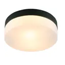 Светильник настенно-потолочный ARTE LAMP A6047PL-2BK 2 лампы 6 м² цвет черный
