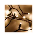 Электрогирлянда Ardecoled 025795 1000см 100LED белый