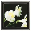 Картина в раме Simaland "Белые цветы" 21x21 см