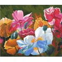 Картина по номерам Paintboy на подрамнике Разноцветные маки 40x50