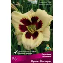 Лилейник гибридный Мунлит Маскарад