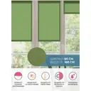 Рулонная штора Decofest Блэкаут Плайн Травяной зеленый 60x160 см Мини