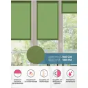 Рулонная штора Decofest Блэкаут Плайн Травяной зеленый 100x160 см Мини