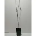 Персик Бургунди ø18 см h100-120 см
