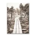 Картина на холсте Тропинка в лес 80x120 см