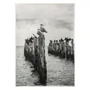 Холст без подрамника "Стая чаек" 70x100 см