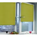 Рулонная штора Эскар 48x170 см цвет оливковый