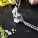 Пресс для чеснока алюминиевый Tas-Prom круглый малый