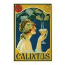 Постер на холсте Просто Постер Шампанское Calixtus S Oliver 40x50см без рамы