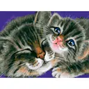 Картина по номерам Белоснежка холст 30x40 см Моя радость