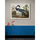 Постер в раме Просто Постер "Луизианская серая цапля" 50x40 см