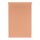 Рулонная штора Prakto Shantung 60x160 см цвет персиковый