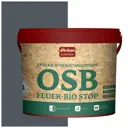 Краска огнебиозащитная OSB FEUER-BIO STOP OSB feuerbiostop176 цвет графит/тёмный 3 л