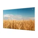 Защитный экран Borntoprint Золотая рожь 60x90x0.4 см закаленное стекло цвет прозрачный