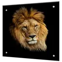 Защитный экран Borntoprint Лев 60x55x0.4 см закаленное стекло цвет прозрачный