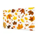 Защитный экран Borntoprint осень 60x90x0.4 см закаленное стекло цвет прозрачный