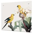 Защитный экран Borntoprint Попугаи 50x50x0.4 см закаленное стекло цвет прозрачный