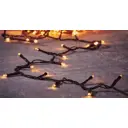 Электрогирлянда универсальная Luca Lighting Нить 2.1м 24 ламп теплый белый свет 1 режим работы