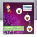 Набор для выращивания Simaland с глиняным горшочком Каллистефус китайский